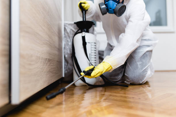 Pest Control Cost in Ellenville, NY